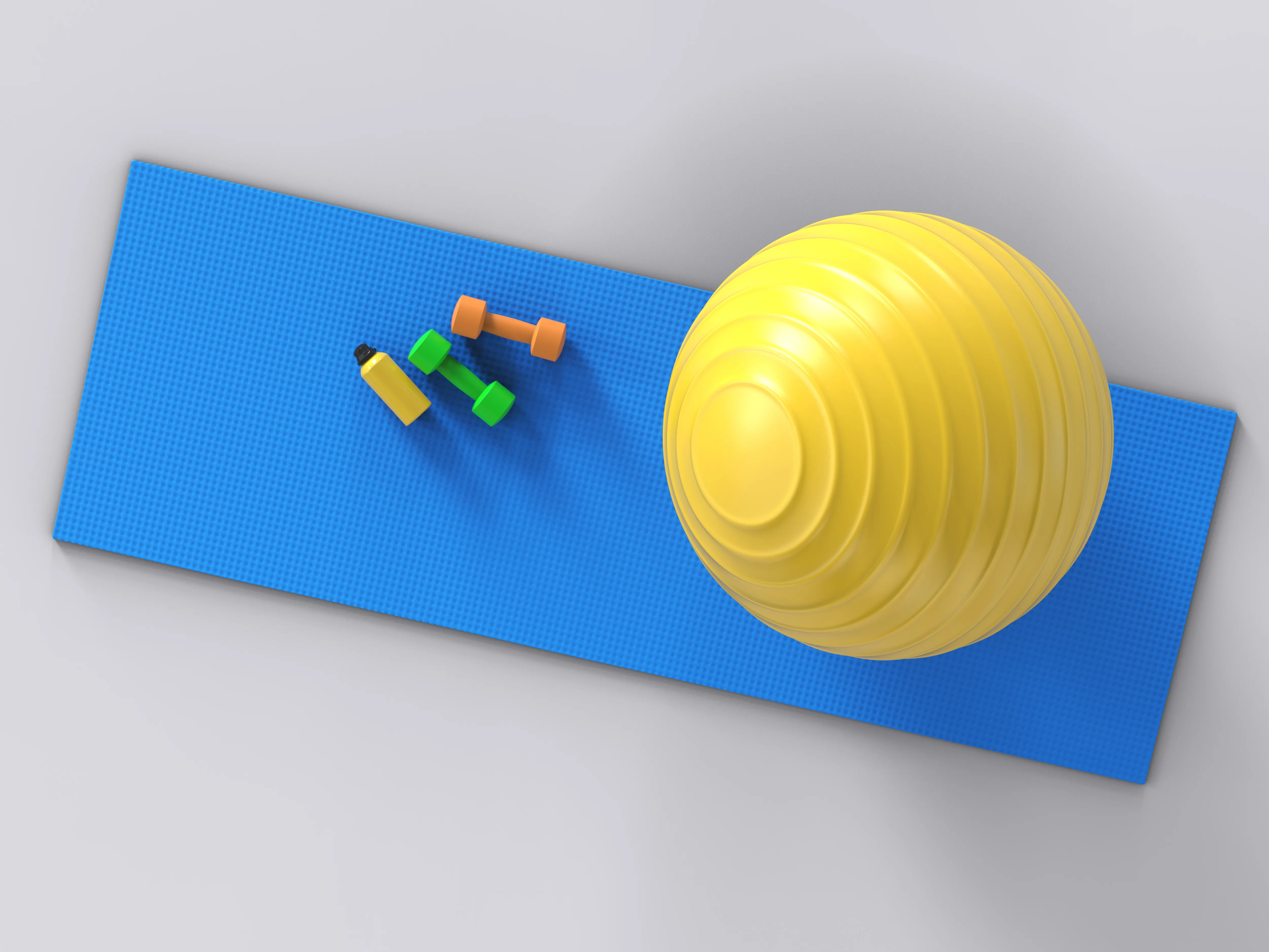 Categoria bola suica de VIP Academia